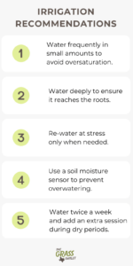 Visual depicting on how to irrigate the soil