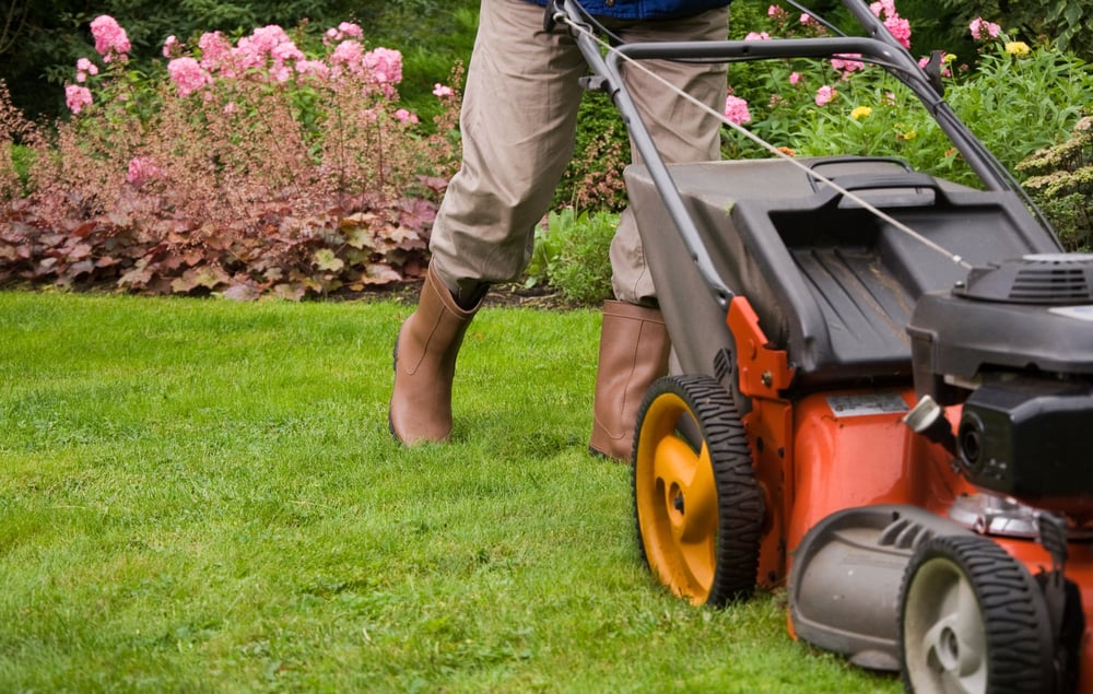 lawn mowing