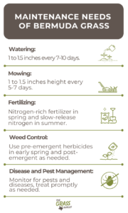 Visual showing maintenance needs of bermuda grass