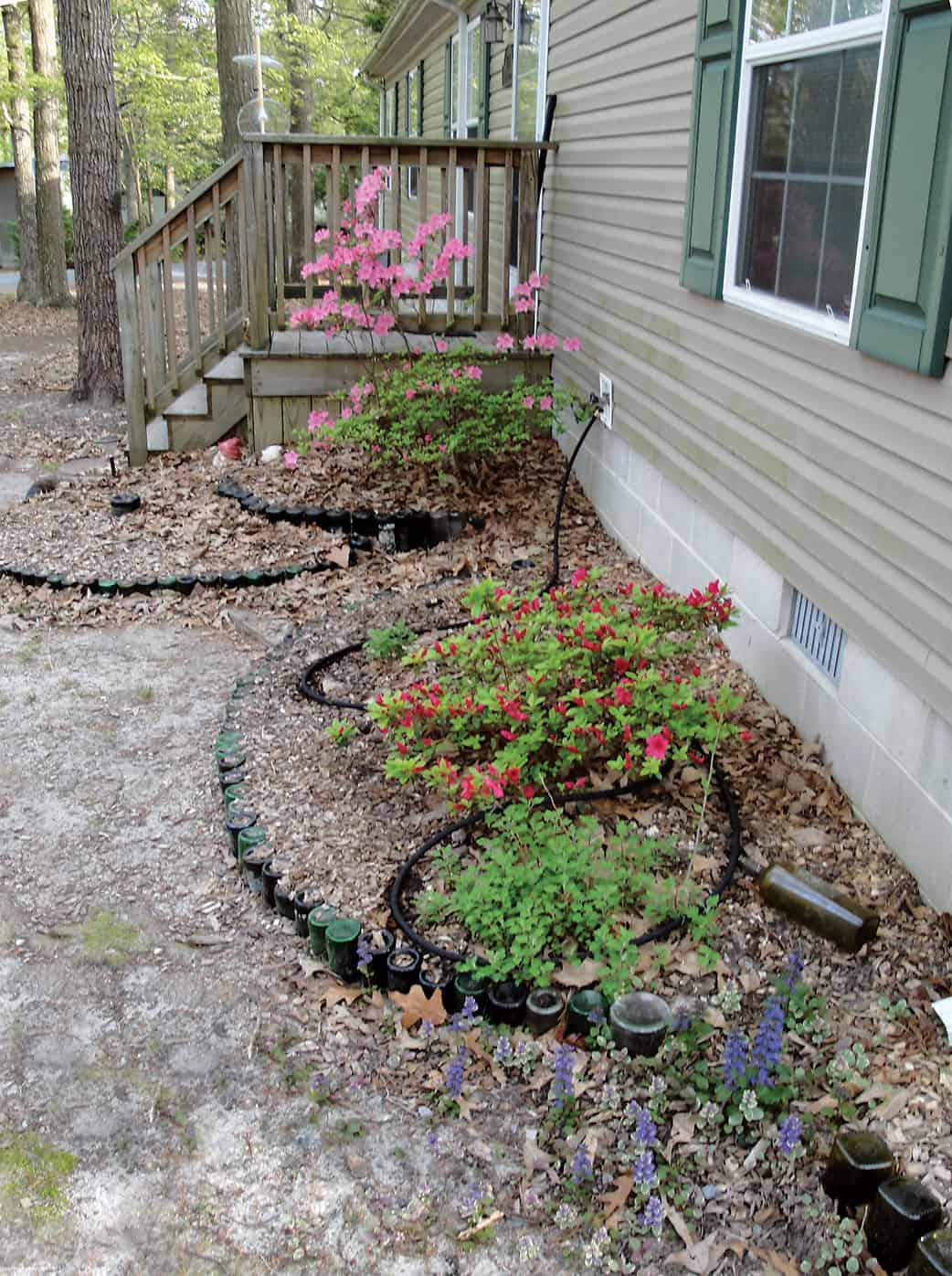 Garden with wine bottles decorating the edges