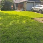 Customers lawn with a car in the background