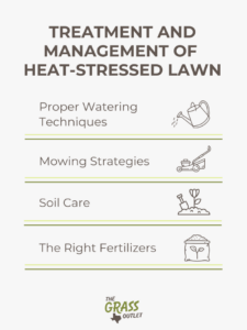 Visual showing the steps to heat-stress lawn treatment