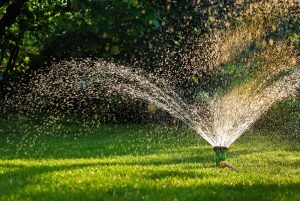 sprinklers in the morning grass