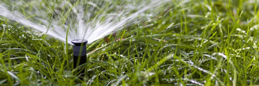 watering lawn